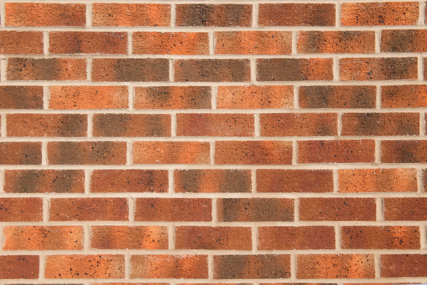 Wolds Minster Blend 24 Packs 12,096 Bricks