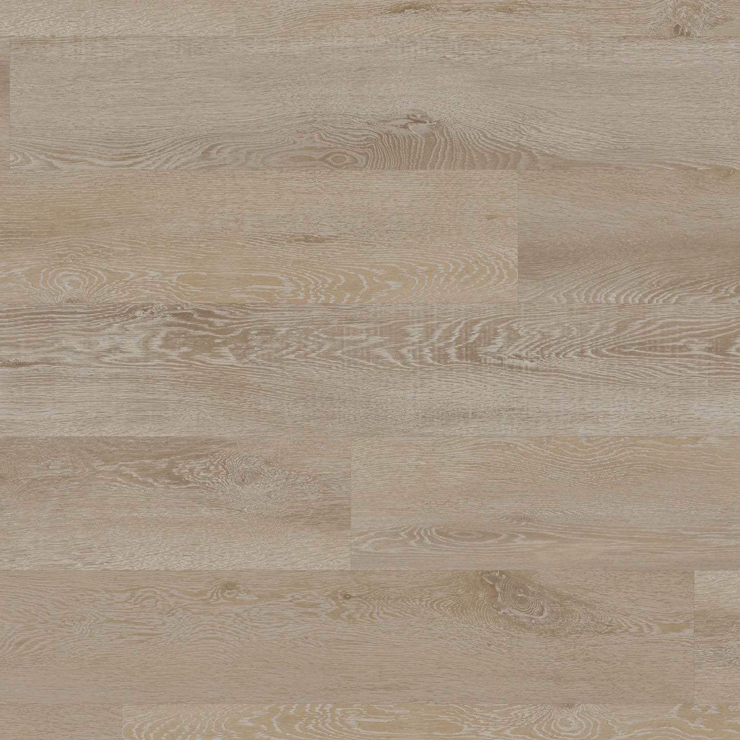 Palio Gluedown oak flooring 4.76m2 / PVP152 Waterbury (18 Packs)