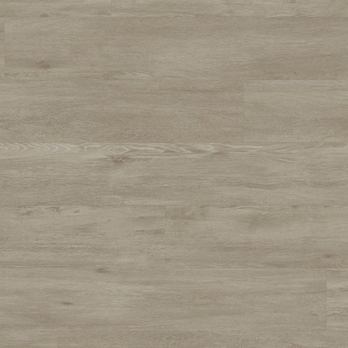 Palio Gluedown Oak Flooring 4.76m2 / PVP153 Brockton (18 Packs)
